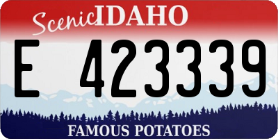 ID license plate E423339