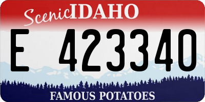 ID license plate E423340