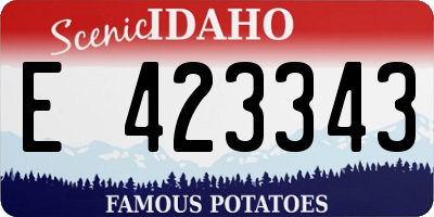 ID license plate E423343