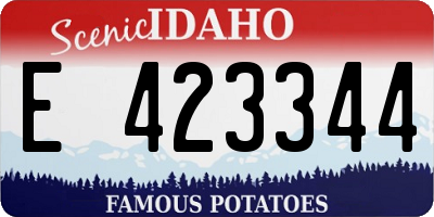 ID license plate E423344