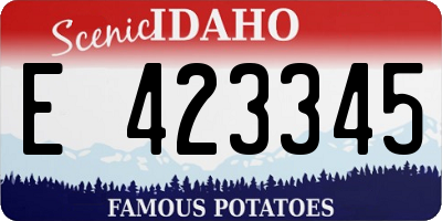 ID license plate E423345