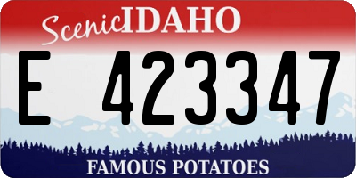 ID license plate E423347