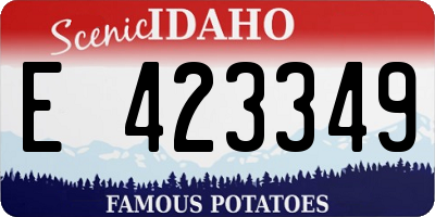 ID license plate E423349