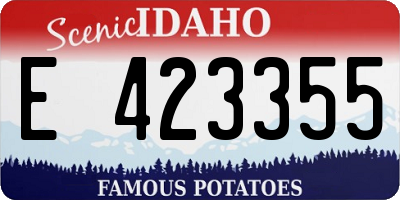 ID license plate E423355