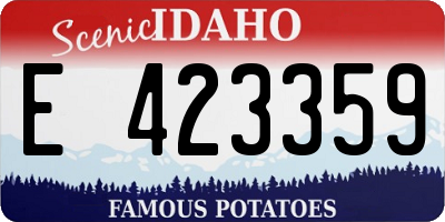 ID license plate E423359