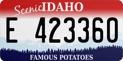 ID license plate E423360