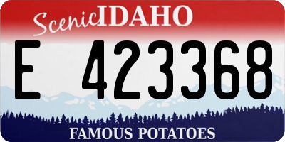 ID license plate E423368