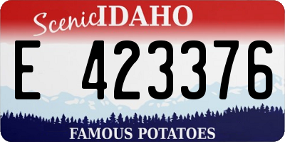 ID license plate E423376