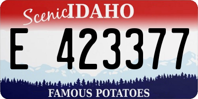 ID license plate E423377