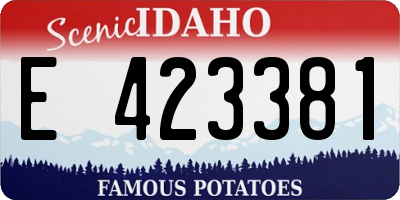 ID license plate E423381