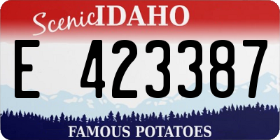 ID license plate E423387