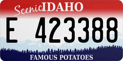 ID license plate E423388