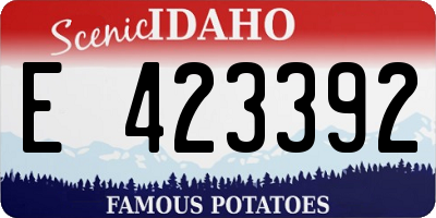 ID license plate E423392