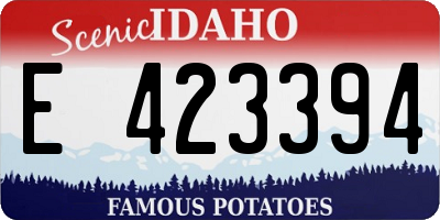 ID license plate E423394