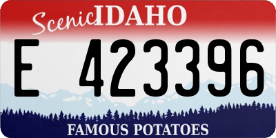ID license plate E423396