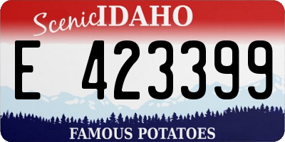 ID license plate E423399