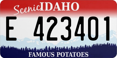 ID license plate E423401