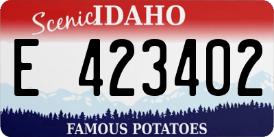 ID license plate E423402