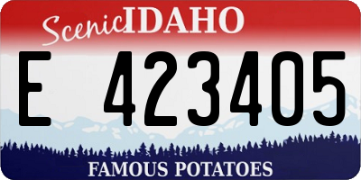 ID license plate E423405