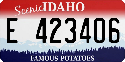 ID license plate E423406