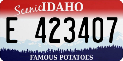 ID license plate E423407