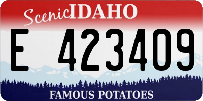 ID license plate E423409
