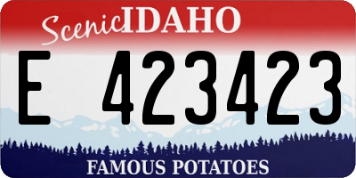 ID license plate E423423