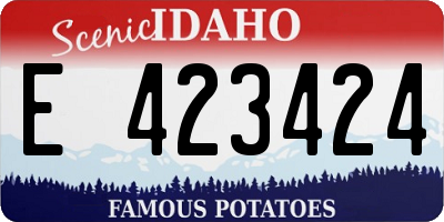 ID license plate E423424