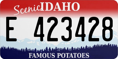 ID license plate E423428