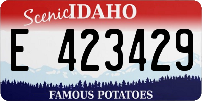 ID license plate E423429