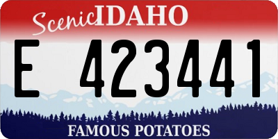 ID license plate E423441