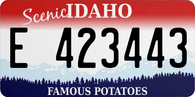 ID license plate E423443