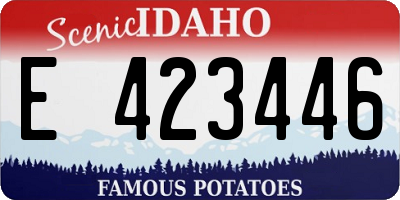 ID license plate E423446