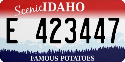 ID license plate E423447