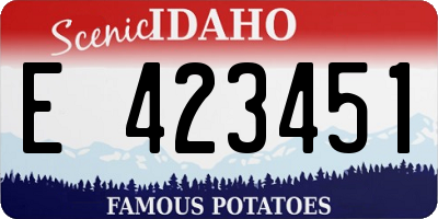 ID license plate E423451