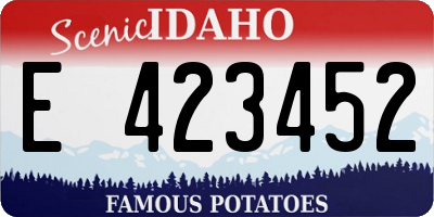 ID license plate E423452