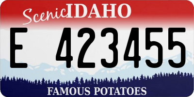 ID license plate E423455