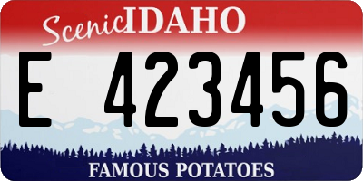ID license plate E423456