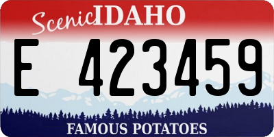 ID license plate E423459