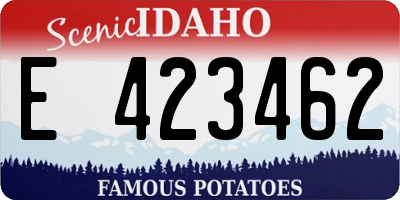 ID license plate E423462