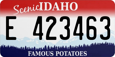 ID license plate E423463
