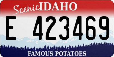 ID license plate E423469