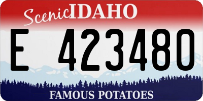 ID license plate E423480