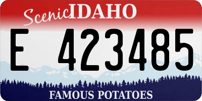 ID license plate E423485