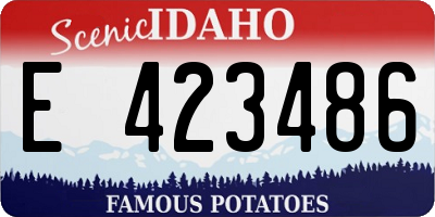 ID license plate E423486