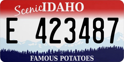 ID license plate E423487