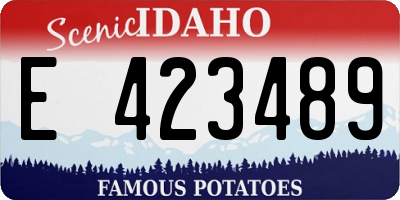 ID license plate E423489