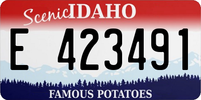 ID license plate E423491