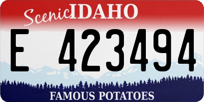 ID license plate E423494