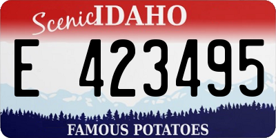 ID license plate E423495